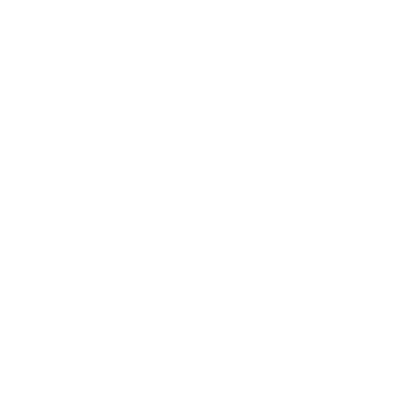 ZECKSA Logo